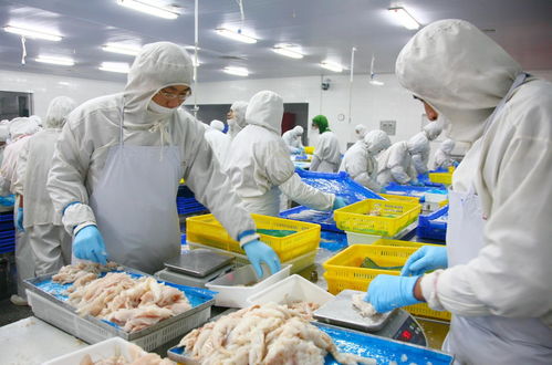 職業(yè)化設(shè)計(jì)視角下的食品工廠排水系統(tǒng)與婚姻介紹服務(wù)的共通點(diǎn)探析